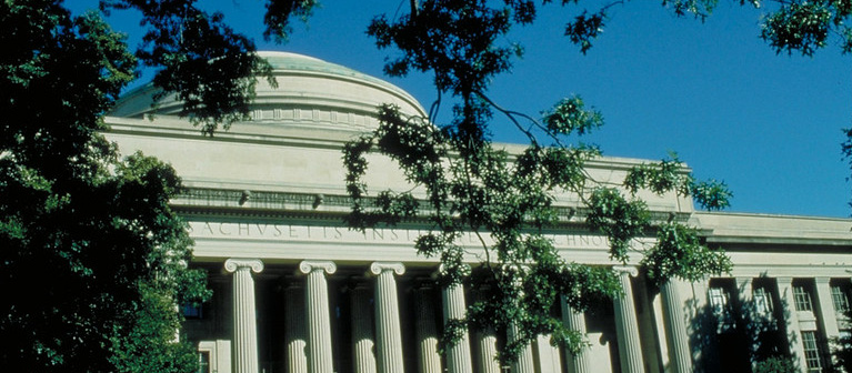 Summer trees and the dome